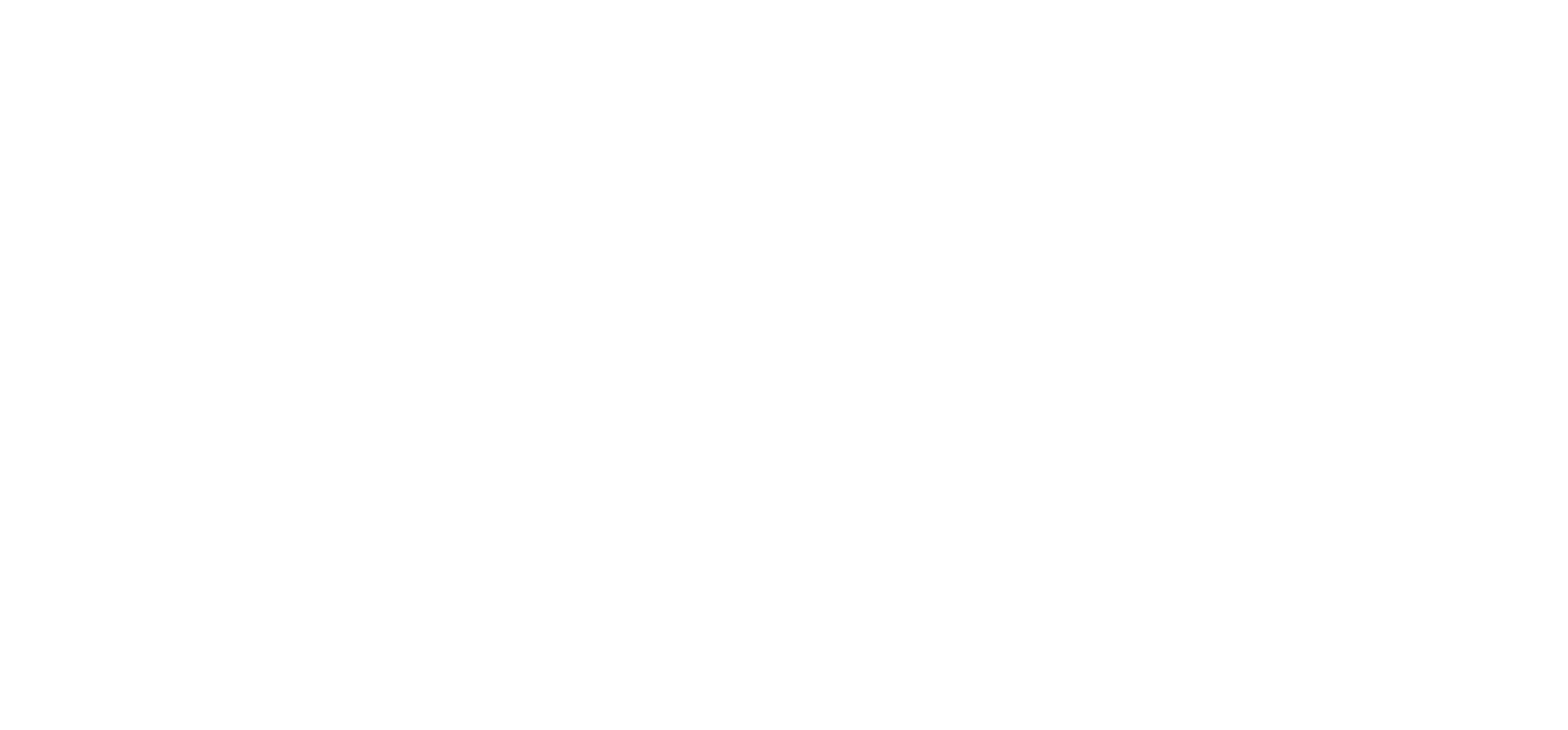 CSIT Footer Logo